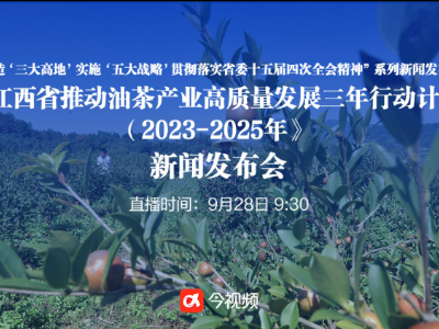 今视频直播：《江西省推动油茶产业高质量发展三年行动计划（2023-2025年》新闻发布会