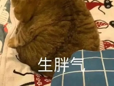 重返33℃ ！广信秋老虎杀个回马枪 