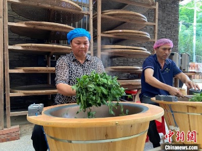 科技赋能使广西六堡茶产业产量、产值 “双倍增”