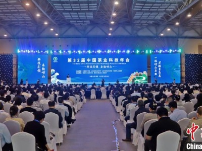 第32届中国茶业科技年会青岛启幕 800余行业专家探讨科技成果转化
