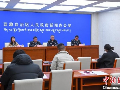 近年来西藏公安机关共抓获网上逃犯601名