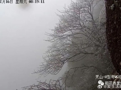 別羨慕了！咱廣信也下雪啦~