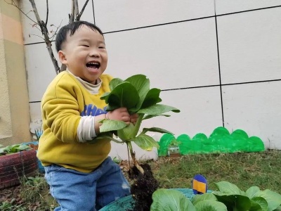 清水鄉(xiāng)中心幼兒園開展系列實踐活動