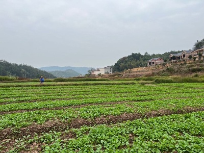 加強(qiáng)管理保穩(wěn)產(chǎn)