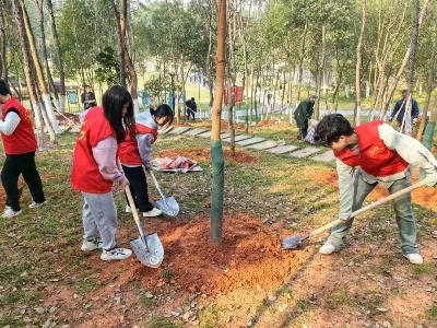 团广信区委开展“种下一颗绿收获一片蓝——我为绿色发展植棵树”暨创建“江西青年双碳林”公益活动