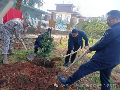 区退役军人事务局到驻区部队开展植树活动