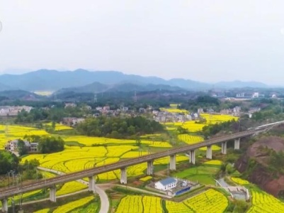 各地“賞花經(jīng)濟(jì)”釋放“美麗”活力 為鄉(xiāng)村發(fā)展注入蓬勃動能 