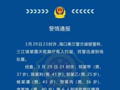 海口一露天歌舞廳多人打架 6人被采取刑事強(qiáng)制措施