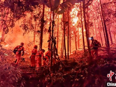 广西清明祭扫高峰将至 森林消防筑牢假期“防火墙”