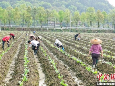 湖南東安氣象科技“護(hù)航”春耕