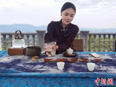 年轻人上茶山体验“新中式”生活 助茶旅融合发展