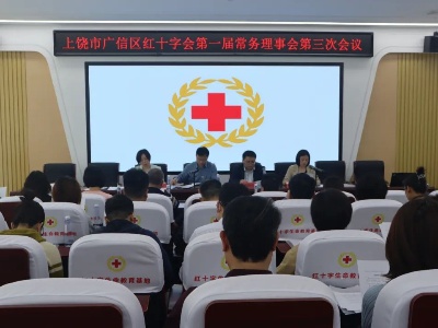 我区红十字会第一届常务理事会第三次会议召开
