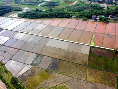 江西广昌：20余万亩耕地正上演“变身记”