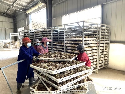 “装备”升级！江西广昌这个工厂了不起，富村又富民！