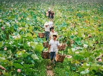 纪录小康工程（袁奕个人摄影作品）