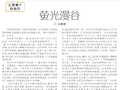 萤光漫谷
