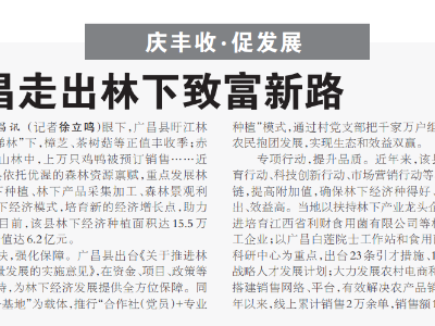 广昌走出林下致富新路 