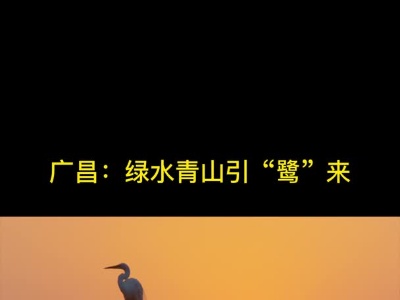 【江西是个好地方——活力抚州】广昌：绿水青山引“鹭”来