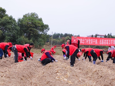  广昌：党员干部田间助冬耕 