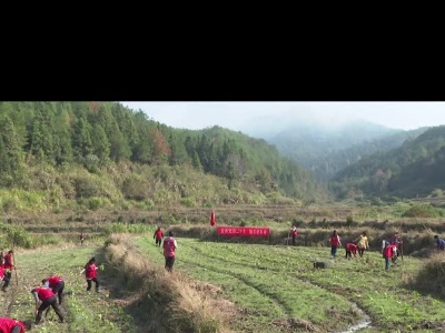 广昌县杨溪乡：冬季无闲田 油菜移栽忙