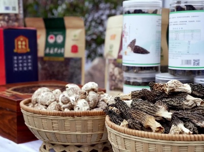 全国食用菌产业设备特色农产品展销会