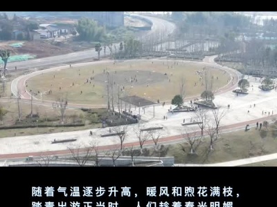 天气明显回温 出游踏青正当时