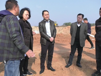 王峰调研我县部分重点项目建设进展情况