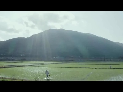一粒米的答卷