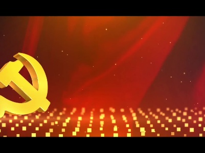 你让党徽更加闪亮