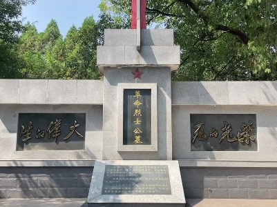 《半截皮带》余果