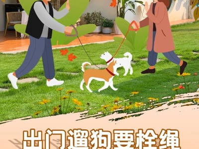 公益广告 | 助力文明城市创建，秀出我们的“文明范”