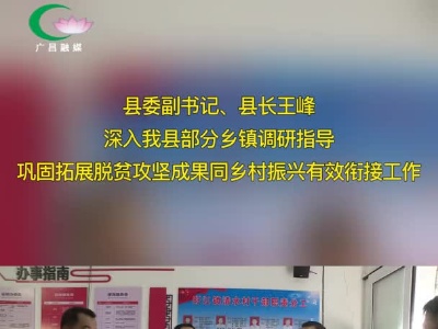 王峰深入我县部分乡镇调研指导巩固拓展脱贫攻坚成果同乡村振兴有效衔接工作