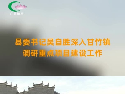 吴自胜深入甘竹镇调研重点项目建设工作