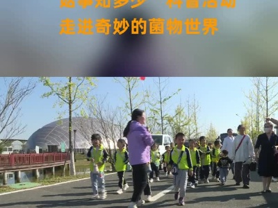 江西广昌：“菇事知多少”科普活动  走进奇妙的菌物世界