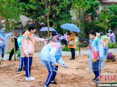 广东持续开展义务植树活动  民众争做绿美守护者 
