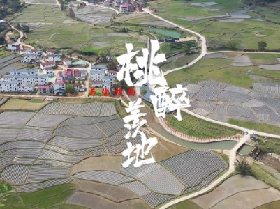 广昌县头陂镇羡地村第一届桃花节，与你相约 “桃”醉羡地（短视频）