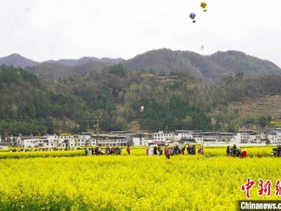 秦岭南麓的最美油菜花海：以花为媒 