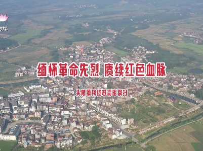“缅怀革命先烈 赓续红色血脉”——头陂镇柯树村清明祭扫活动（短视频）
