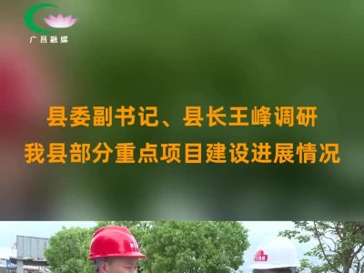 王峰调研我县部分重点项目建设进展情况（短视频）