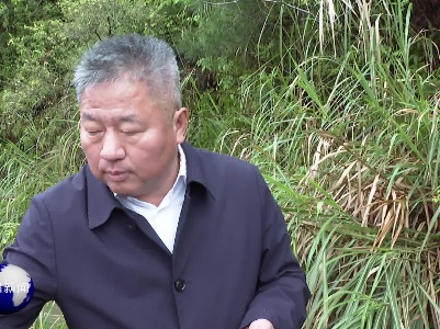 吴自胜深入头陂镇调研春耕生产工作