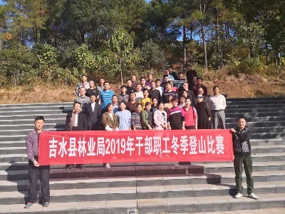 吉水县林业局举行冬季登山比赛活动