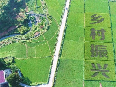 吉水县“三个强化”推进农业园区高质量发展
