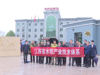 首个江西水稻产业技术体系科技服务站在吉水挂牌成立