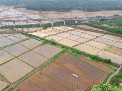 江西抚州：164万亩高标准农田“绘制”田间新图景