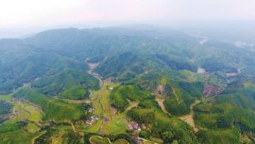 吉水县林业局组织召开全县林业工作会议