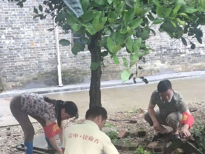 乌江镇农村人居环境整治再发力！