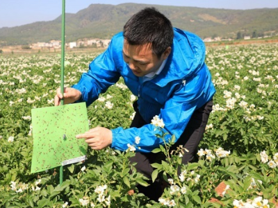 骄傲！吉水双村人当选国际生物防治组织副主席