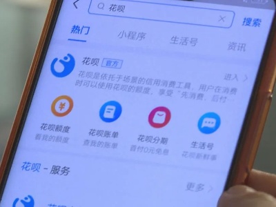 支付宝被盗刷 民警迅速破案