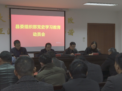 吉水县委组织部召开党史学习教育动员会