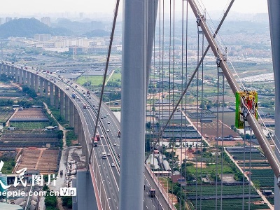 广东广州：黄埔大桥维护检修